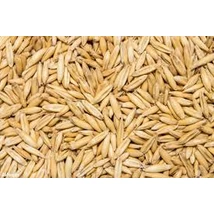 MADÁRELESÉG ZAB 15kg MADÁRELESÉG ZAB 15kg