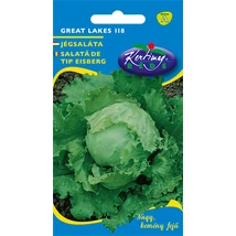 JÉGSALÁTA RÉDEI KERTIMAG GREAT LAKES 3g JÉGSALÁTA RÉDEI KERTIMAG GREAT LAKES 3g