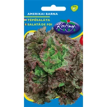 TÉPŐSALÁTA RÉDEI KERTIMAG AMERIKAI BARNA 3g