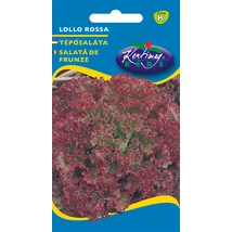 TÉPŐSALÁTA RÉDEI KERTIMAG LOLLO ROSSA 2g