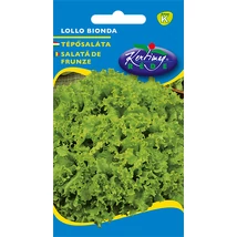 TÉPŐSALÁTA RÉDEI KERTIMAG LOLLO BIONDA 2g