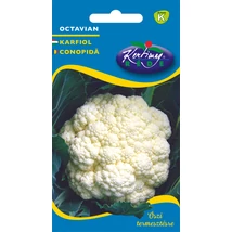 karfiol_rédei_kertimag_octavian_gardenx