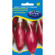 VÖRÖSHAGYMA RÉDEI KERTIMAG SONKAHAGYMA LILA 2g