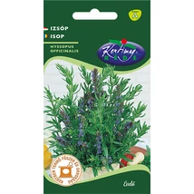 FŰSZERNÖVÉNY IZSÓP RÉDEI KERTIMAG 1g