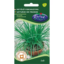 FŰSZERNÖVÉNY METÉLŐFOKHAGYMA RÉDEI KERTIMAG 1g