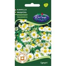 FŰSZERNÖVÉNY KAMILLA RÉDEI KERTIMAG 0,5g