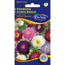 DÍSZNÖVÉNY ŐSZIRÓZSA RÉDEI KERTIMAG PRINZESS SZÍNKEVERÉK