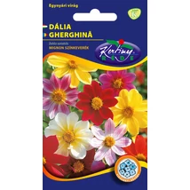 DÍSZNÖVÉNY DÁLIA RÉDEI KERTIMAG EGYSZERŰ VIRÁGÚ, SZÍNKEVERÉK