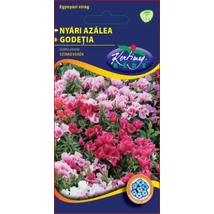 DÍSZNÖVÉNY NYÁRI AZÁLEA RÉDEI KERTIMAG SZÍNKEVERÉK