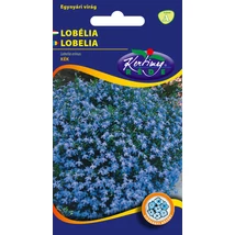 DÍSZNÖVÉNY LOBÉLIA RÉDEI KERTIMAG KÉK