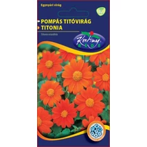 DÍSZNÖVÉNY PÁSZTORTŰZ RÉDEI KERTIMAG NARANCSSÁRGA
