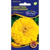 DÍSZNÖVÉNY LEGÉNYVIRÁG RÉDEI KERTIMAG SÁRGA