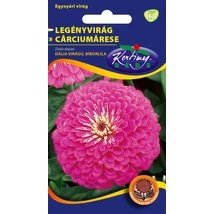DÍSZNÖVÉNY LEGÉNYVIRÁG RÉDEI KERTIMAG BÍBORLILA