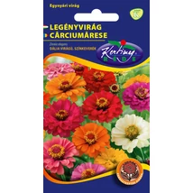 DÍSZNÖVÉNY LEGÉNYVIRÁG RÉDEI KERTIMAG SZÍNKEVERÉK