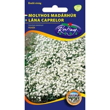 DÍSZNÖVÉNY MOLYHOS MADÁRHÚR RÉDEI KERTIMAG FEHÉR