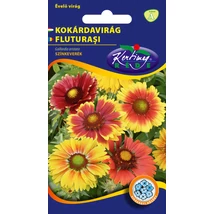 DÍSZNÖVÉNY KOKÁRDAVIRÁG RÉDEI KERTIMAG SZÍNKEVERÉK