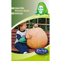 ÓRIÁSTÖK RÉDEI KERTIMAG ATLANTIC GIANT 6 szem