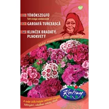 Törökszegfű, színkeverék 2 g