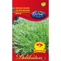 SALÁTA RÉDEI KERTIMAG MIZUNA 2 g SALÁTA RÉDEI KERTIMAG MIZUNA 2 g