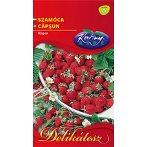FÖLDIEPER(SZAMÓCA) RÉDEI KERTIMAG RÜGEN 0,2g