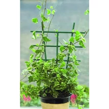 VIRÁGTÁMASZ,LÉTRA 28x17cm 2db/cs