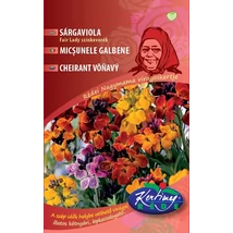 DÍSZNÖVÉNY SÁRGAVIOLA RÉDEI KERTIMAG Fair Lady színkeverék 2 g