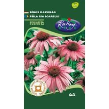 FŰSZERNÖVÉNY BÍBOR KASVIRÁG RÉDEI KERTIMAG 0,5g