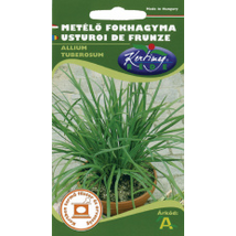 FŰSZERNÖVÉNY METÉLŐFOKHAGYMA RÉDEI KERTIMAG 1g