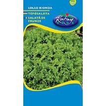 TÉPŐSALÁTA RÉDEI KERTIMAG LOLLO BIONDA 2g