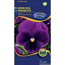 DÍSZNÖVÉNY ÁRVÁCSKA RÉDEI KERTIMAG sötétkék