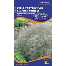DÍSZNÖVÉNY ÉVELŐ FÁTYOLVIRÁG RÉDEI KERTIMAG fehér