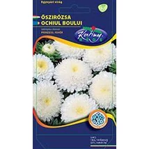 DÍSZNÖVÉNY ŐSZIRÓZSA RÉDEI KERTIMAG Prinzess fehér