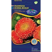 DÍSZNÖVÉNY ŐSZIRÓZSA RÉDEI KERTIMAG Prinzess piros