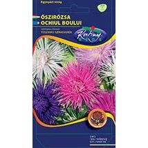 DÍSZNÖVÉNY ŐSZIRÓZSA RÉDEI KERTIMAG tűszírmú színkeverék