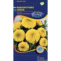 DÍSZNÖVÉNY BÁRSONYVIRÁG RÉDEI KERTIMAG nagyvirágú, alacsony,citromsárga