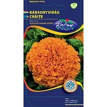 DÍSZNÖVÉNY BÁRSONYVIRÁG RÉDEI KERTIMAG nagyvirágú, alacsony, narancssárga