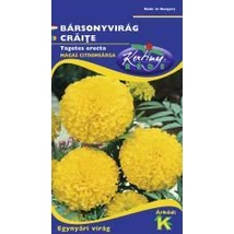 DÍSZNÖVÉNY BÁRSONYVIRÁG RÉDEI KERTIMAG nagyvirágú, magas, citromsárga