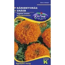 DÍSZNÖVÉNY BÁRSONYVIRÁG RÉDEI KERTIMAG nagyvirágú,magas, narancssárga