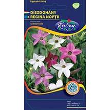 DÍSZNÖVÉNY DÍSZDOHÁNY RÉDEI KERTIMAG Színkeverék