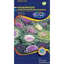 DÍSZNÖVÉNY DÍSZKÁPOSZTA RÉDEI KERTIMAG színkeverék