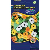 DÍSZNÖVÉNY FEKETESZEM RÉDEI KERTIMAG Színkeverék