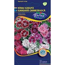 DÍSZNÖVÉNY KÍNAI SZEGFŰ RÉDEI KERTIMAG színkeverék