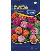 DÍSZNÖVÉNY LEGÉNYVIRÁG RÉDEI KERTIMAG Liliput színkeverék
