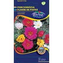 DÍSZNÖVÉNY PORCSINRÓZSA RÉDEI KERTIMAG Féltelt virágú színkeverék