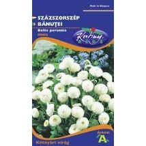 DÍSZNÖVÉNY SZÁZSZORSZÉP RÉDEI KERTIMAG fehér