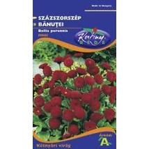 DÍSZNÖVÉNY SZÁZSZORSZÉP RÉDEI KERTIMAG piros