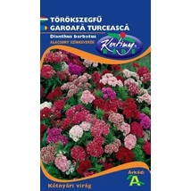 DÍSZNÖVÉNY TÖRÖKSZEGFŰ RÉDEI KERTIMAG alacsony színkeverék