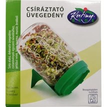 CSÍRÁZTATÓ ÜVEGEDÉNY