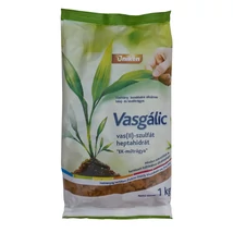 VASGÁLIC 1KG