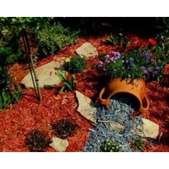 Fenyőkéreg Fenyőkéreg